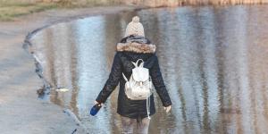 How Often Should You Walk Your Dog?