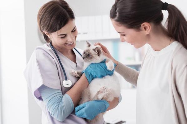 Interferon for Cats - Oral, Eye Drop and Injection