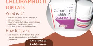 Chlorambucil for Cats - Uses, Dose and Side Effects